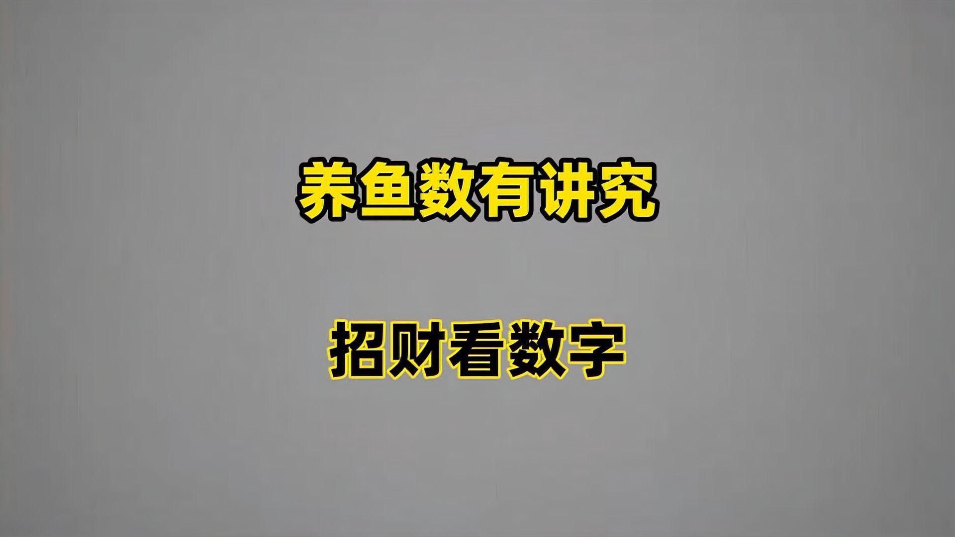 現(xiàn)代風(fēng)水對(duì)養(yǎng)魚(yú)數(shù)量有何看法? 龍魚(yú)百科 第4張 現(xiàn)代風(fēng)水對(duì)養(yǎng)魚(yú)數(shù)量有何看法? 現(xiàn)代風(fēng)水對(duì)養(yǎng)魚(yú)數(shù)量有何看法? 龍魚(yú)百科 第4張