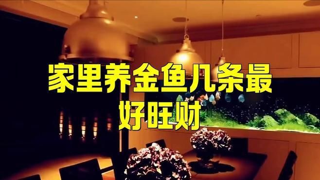 現(xiàn)代風(fēng)水對(duì)養(yǎng)魚(yú)數(shù)量有何看法? 龍魚(yú)百科 第5張 現(xiàn)代風(fēng)水對(duì)養(yǎng)魚(yú)數(shù)量有何看法? 現(xiàn)代風(fēng)水對(duì)養(yǎng)魚(yú)數(shù)量有何看法? 龍魚(yú)百科 第5張