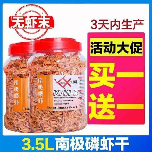 有哪些適合古龍魚的干糧