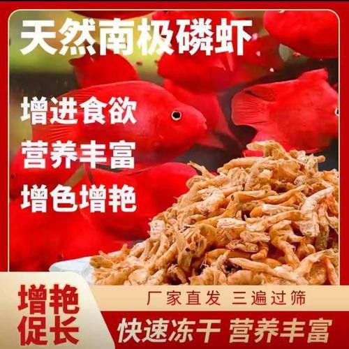 有哪些適合古龍魚的干糧