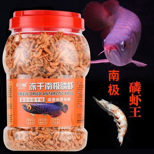 有哪些適合古龍魚的干糧