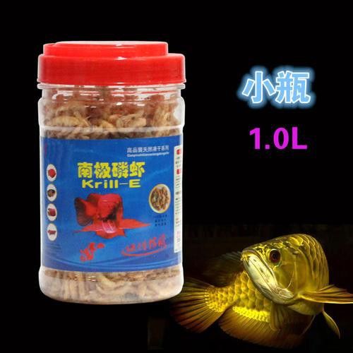 有哪些適合古龍魚的干糧