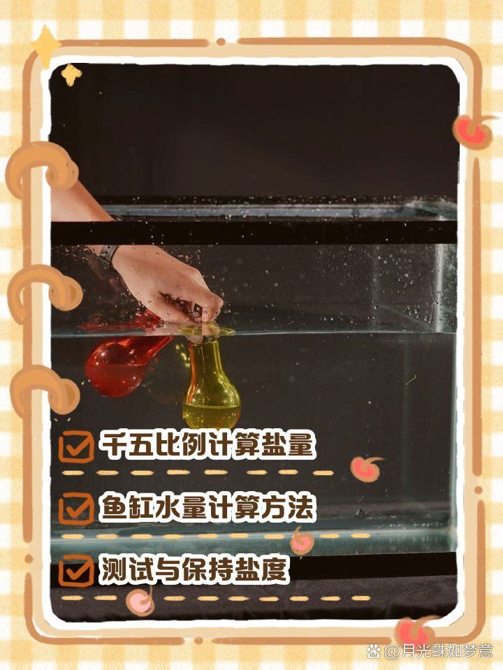 龍魚1000升水下多少鹽