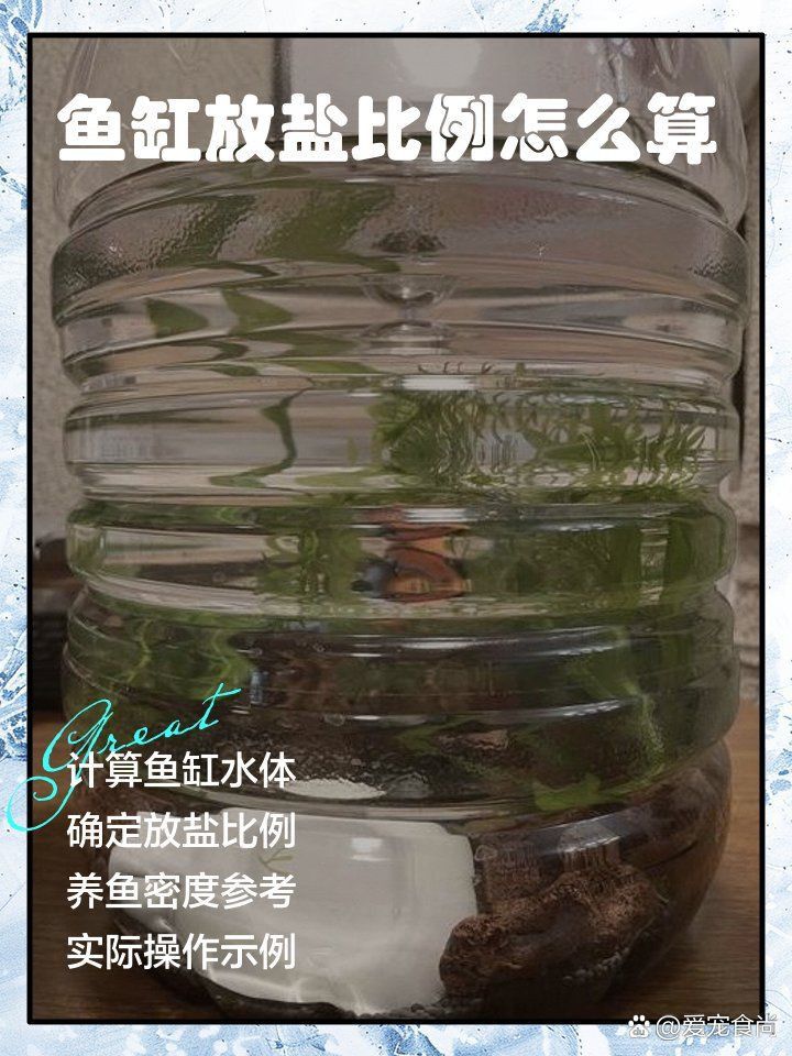龍魚1000升水下多少鹽