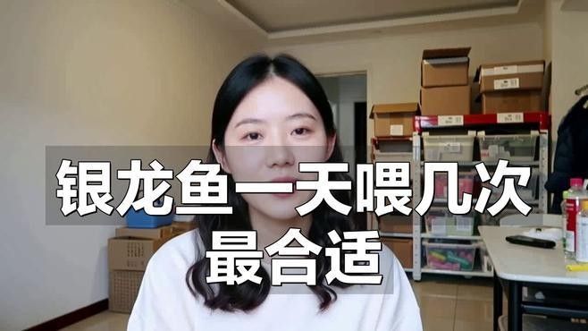 銀龍魚喂食量如何控制？