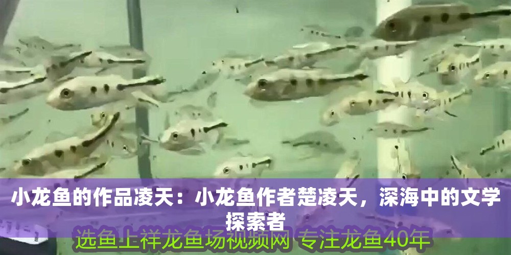 小龍魚的作品凌天：小龍魚作者楚凌天，深海中的文學探索者