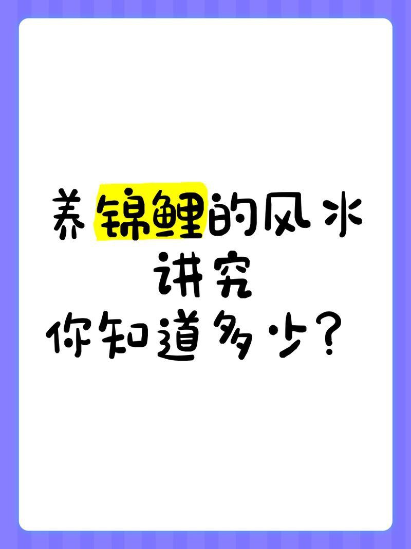 錦鯉最吉利的四個顏色