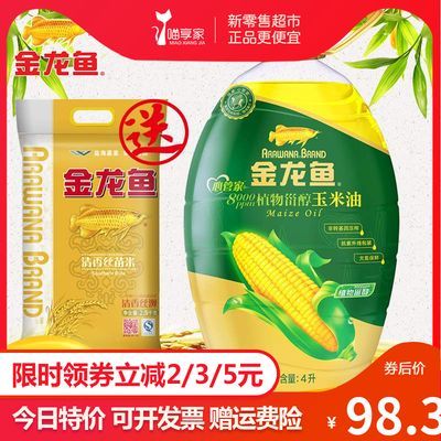 金龍魚在哪里買便宜：金龍魚批發(fā)市場(chǎng)