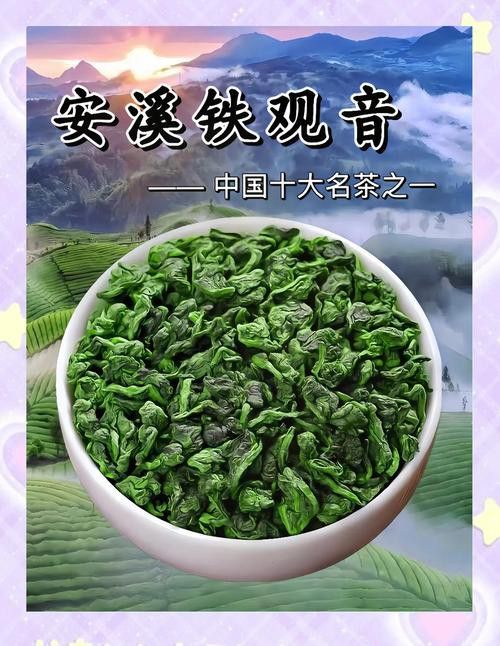 金龍系列茶葉有哪些品種？