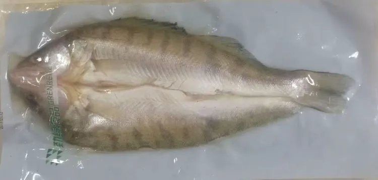 天山雪龍魚產(chǎn)地是哪里