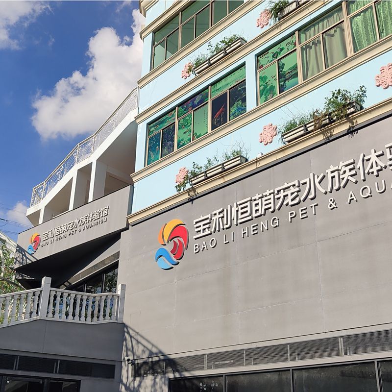 龍崗觀賞魚批發(fā)市場