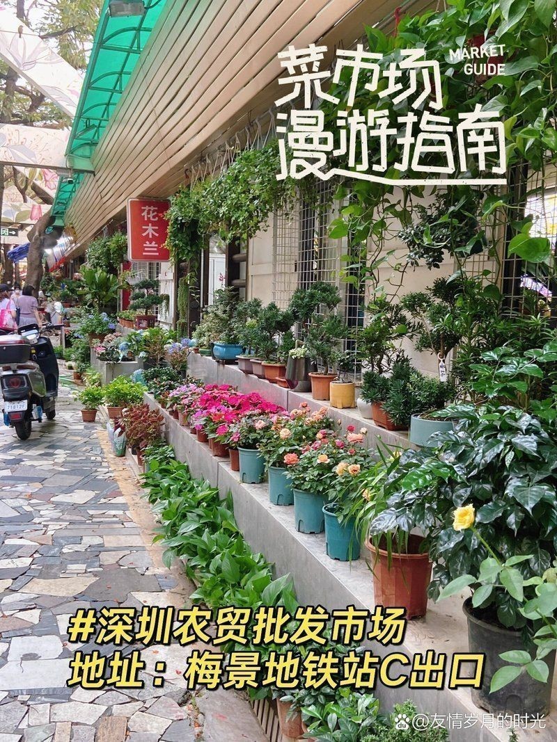 龍崗觀賞魚批發(fā)市場