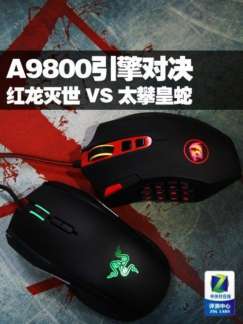 紅龍品牌與國際品牌相比如何？