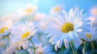 有沒有更多動態龍魚壁紙？