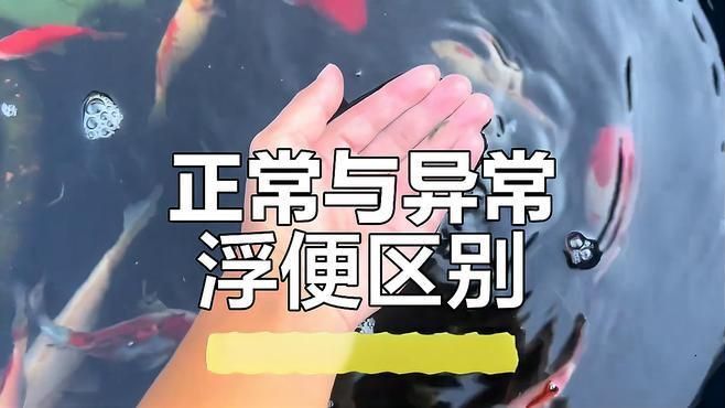 龍魚拉弗便