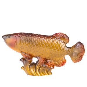 金龍魚怎么才變色快，金龍魚怎么變色快