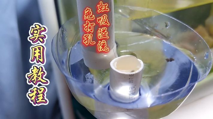 龍魚缸改草缸怎么改溢流管：龍魚缸怎么改溢流管