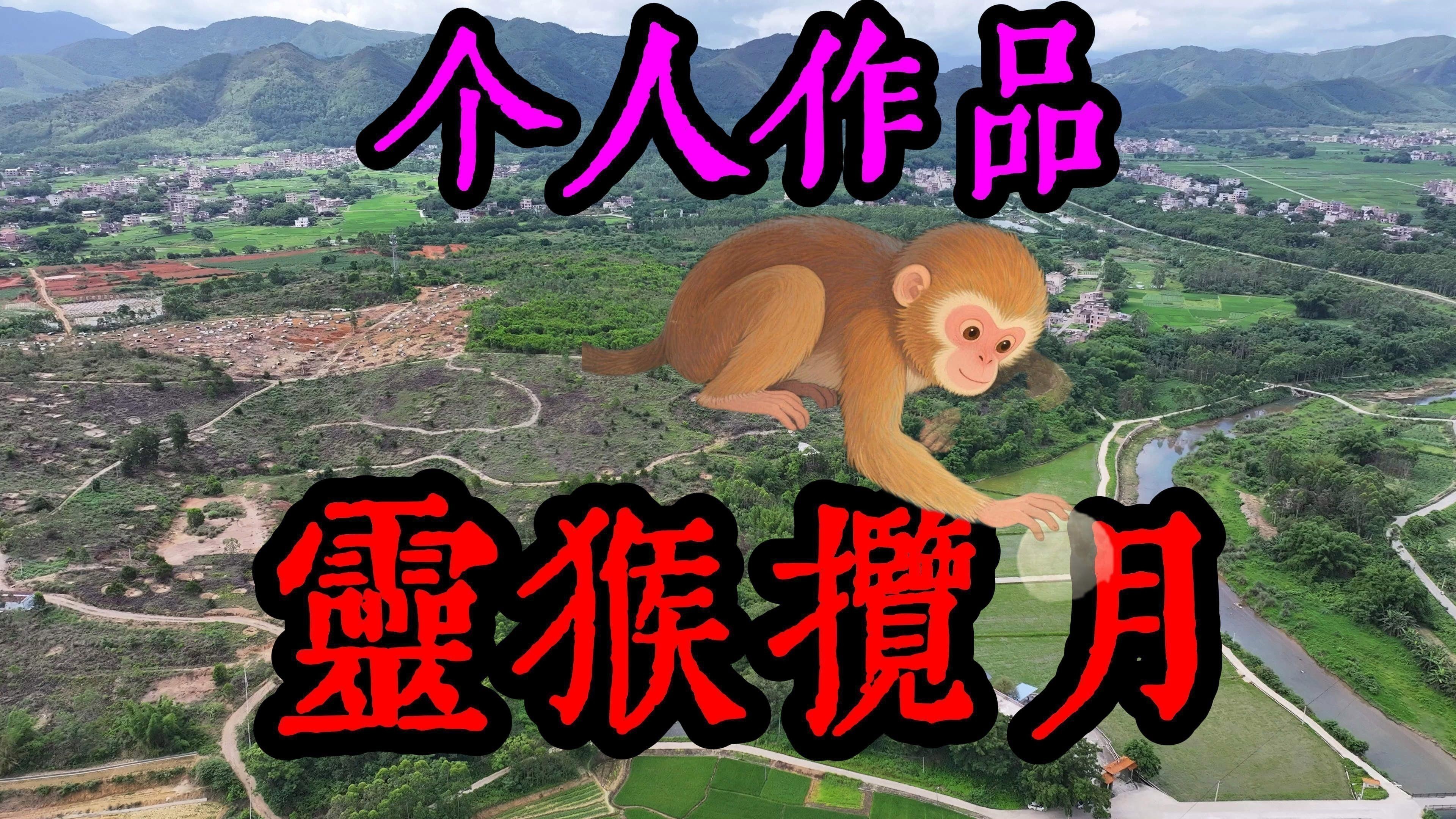 龍脈風水有哪些實際應用案例？