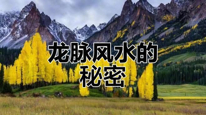 龍脈風水有哪些實際應用案例？
