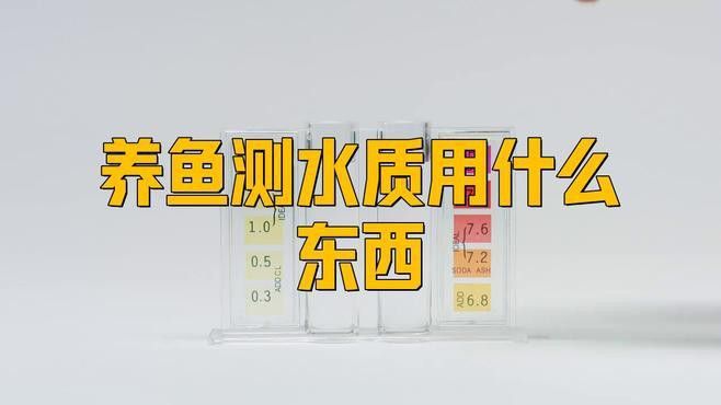 金龍魚水質檢測工具推薦