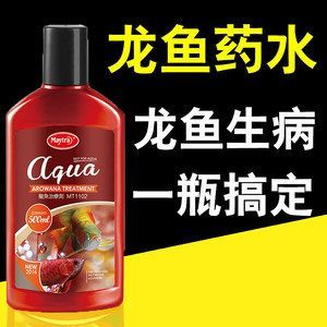 紅龍魚爛尾的治療方法：紅龍魚爛尾怎么治療紅龍魚爛尾的治療方法和預防措施