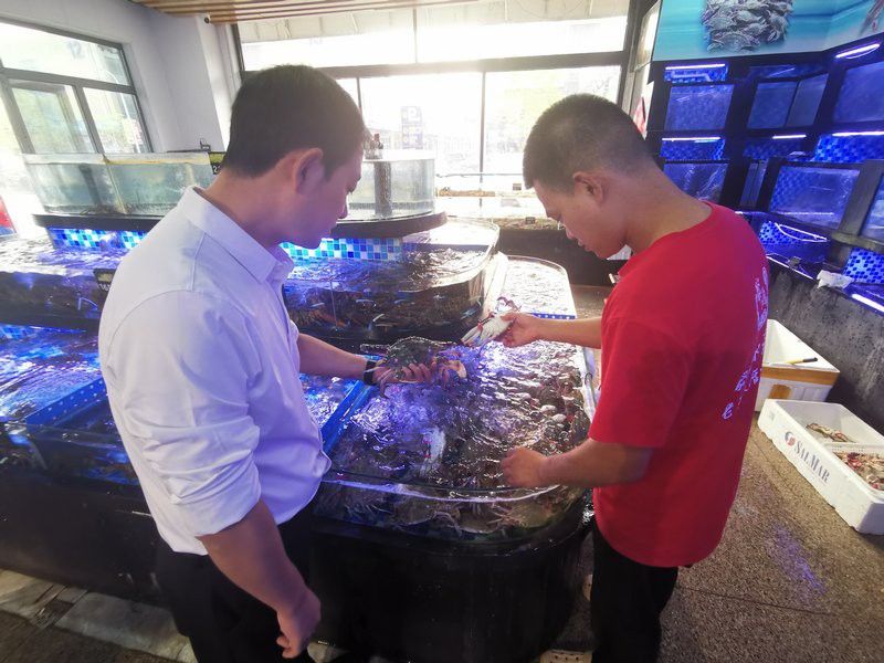 淄博龍魚批發市場在哪里啊