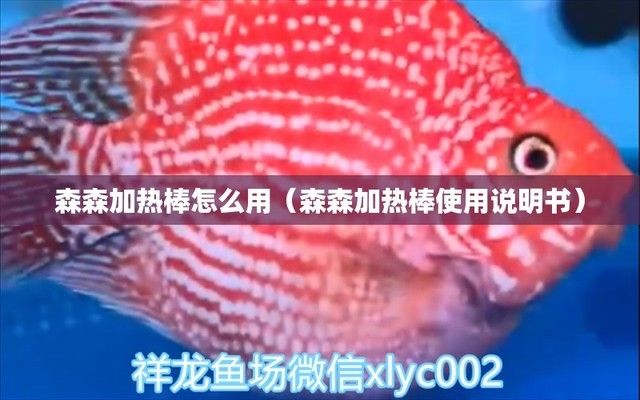 紅龍魚生長速度快嗎視頻播放（紅龍魚生長速度快嗎視頻播放）