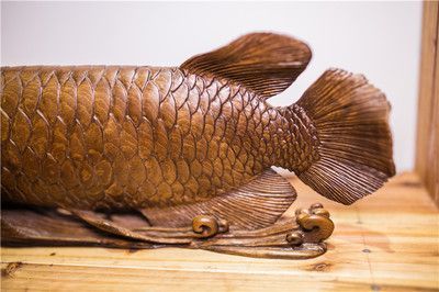 金龍魚漲跌幅度（金龍魚漲跌幅度是衡量其價格波動情況的重要指標）
