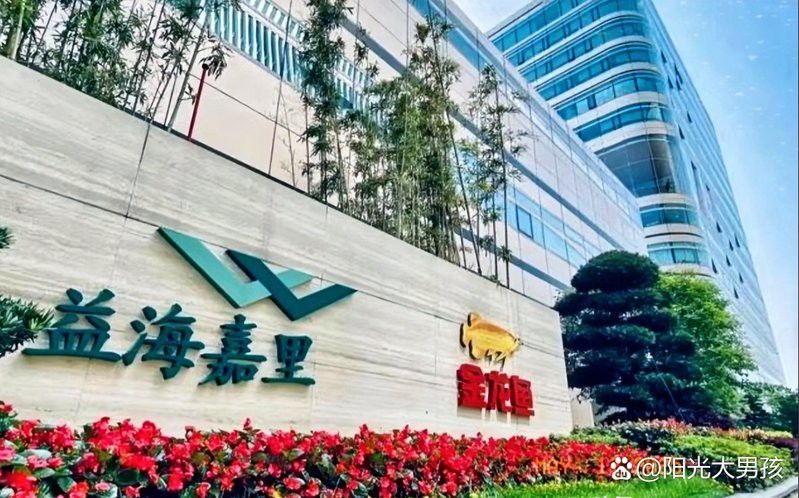 金龍魚深圳公司高管 金龍魚深圳公司高管 龍魚百科 第6張