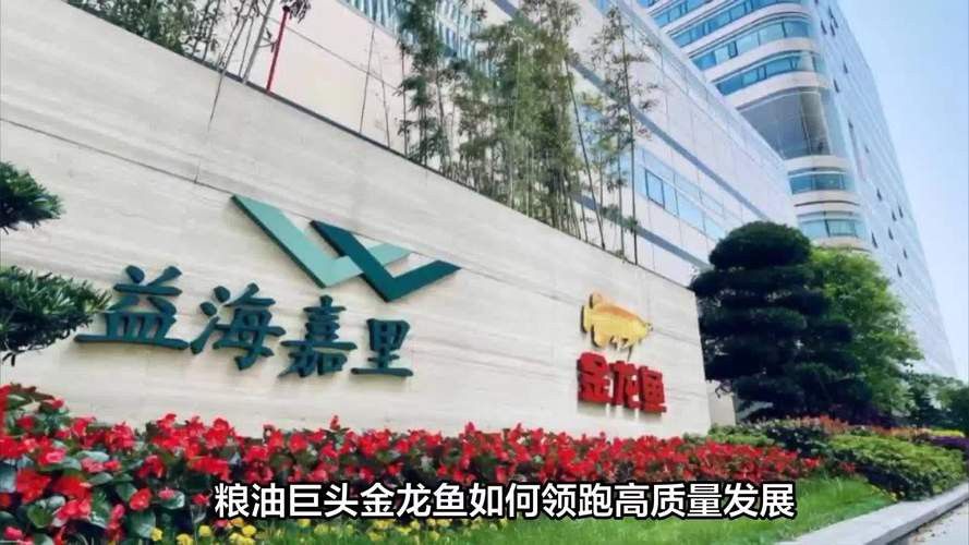 金龍魚深圳公司高管 龍魚百科 第9張 金龍魚深圳公司高管 金龍魚深圳公司高管 龍魚百科 第9張