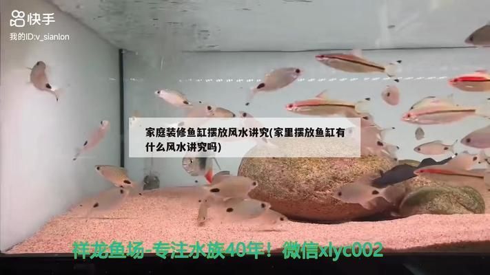 紅龍魚(yú)生長(zhǎng)速度快表現(xiàn)出來(lái)什么樣（紅龍魚(yú)生長(zhǎng)速度快表現(xiàn)出來(lái)什么樣子）