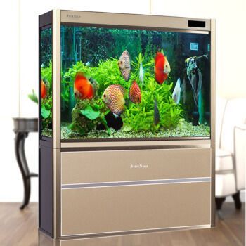 龍魚缸品牌和型號選擇非常重要的龍魚缸品牌和型號評價：龍魚缸品牌和型號 龍魚缸品牌和型號選擇非常重要的龍魚缸品牌和型號評價：龍魚缸品牌和型號 龍魚百科 第1張