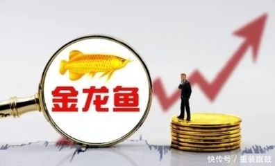 金龍魚2019年營業額（金龍魚2019年實現營業收入1707億元）