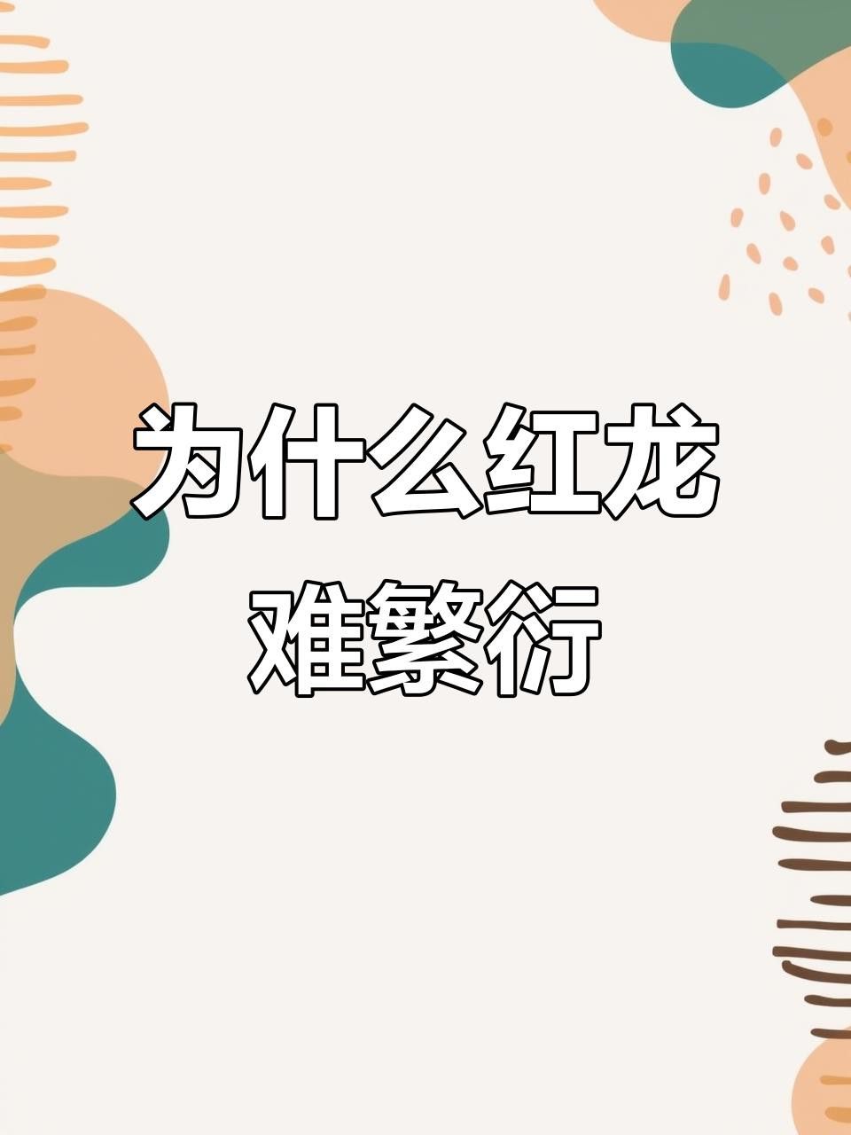 紅龍魚繁殖困難嗎？