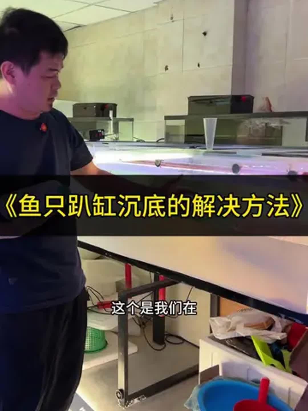 如何判斷龍魚趴缸是否嚴重？