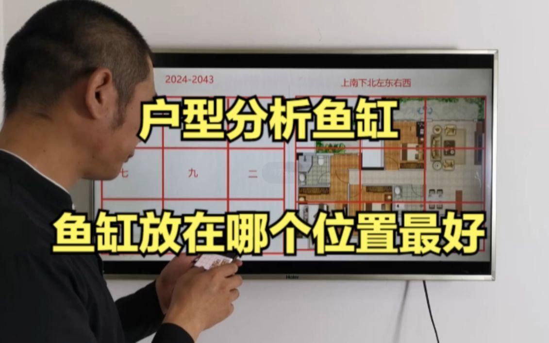 如何搭配魚缸布景以增強氣場？