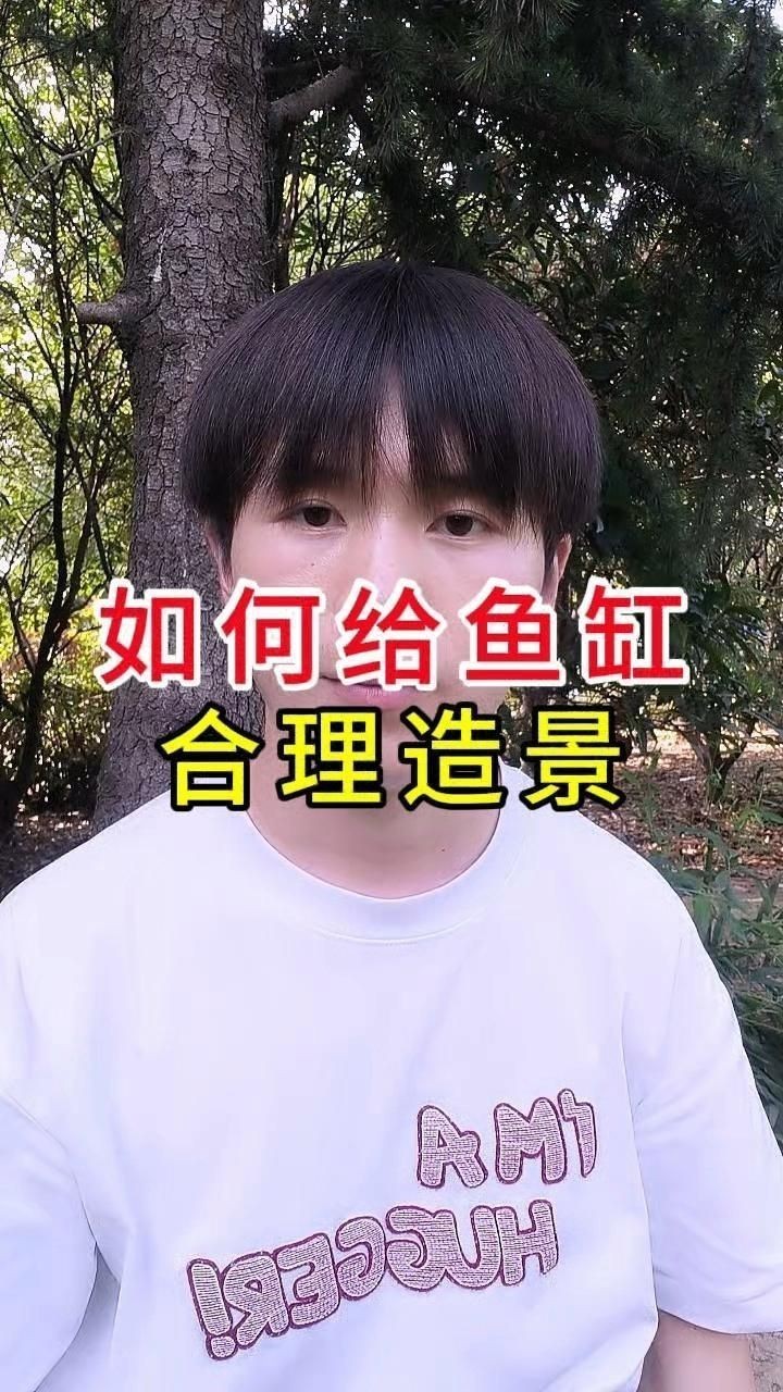 如何搭配魚缸布景以增強氣場？