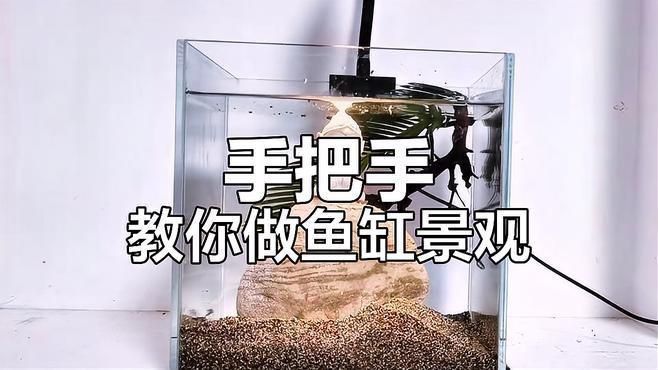 如何搭配魚缸布景以增強氣場？