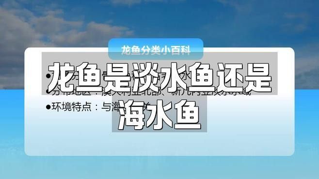 銀龍魚可以淡水養(yǎng)嗎 銀龍魚可以淡水養(yǎng)嗎 龍魚百科 第1張