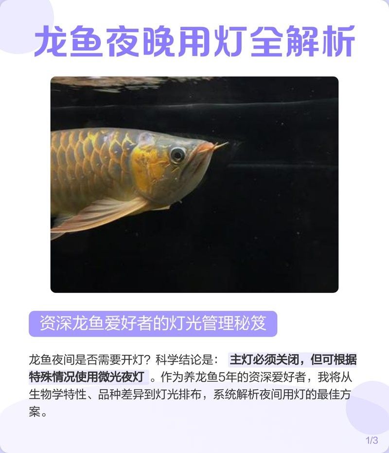 銀龍魚燈需要一直開著嗎
