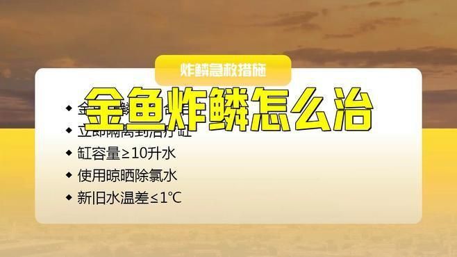 如何正確護(hù)理魚炸傷？