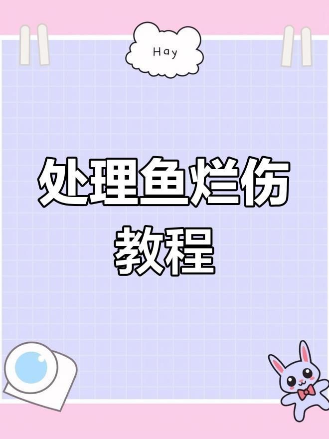 如何正確護(hù)理魚炸傷？