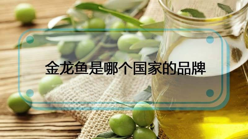 金龍魚公司是哪個國家的