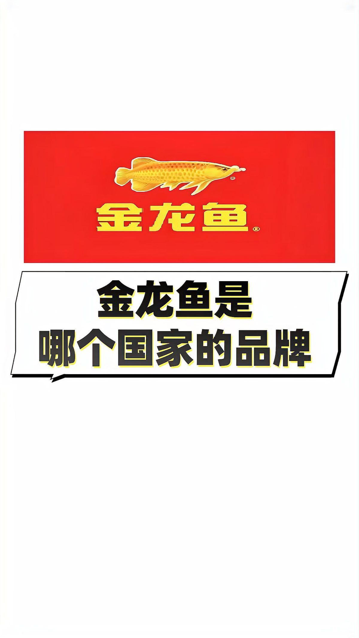 金龍魚公司是哪個國家的