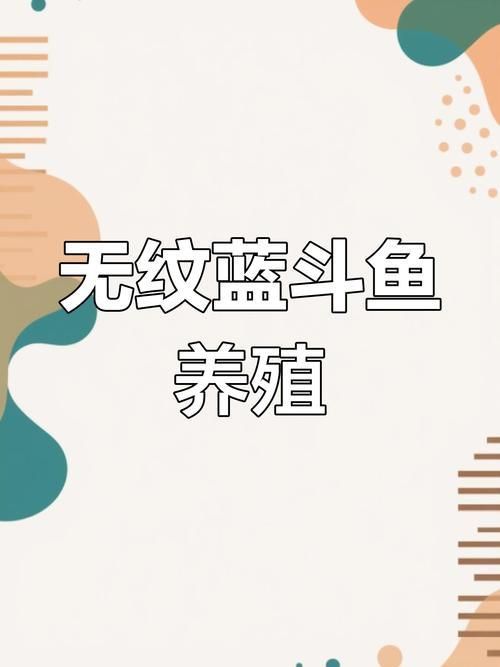 賽級藍底魚最簡單三個步驟圖片