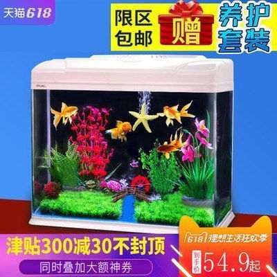 養龍魚最少要多大的缸呢圖片：養龍魚最少需要一個1.5米0.6米0.6米0.6米