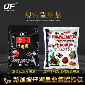 千湖龍魚飼料怎么樣（千湖龍魚飼料不僅對龍魚的健康有益，還能改善水族箱的生態環境）