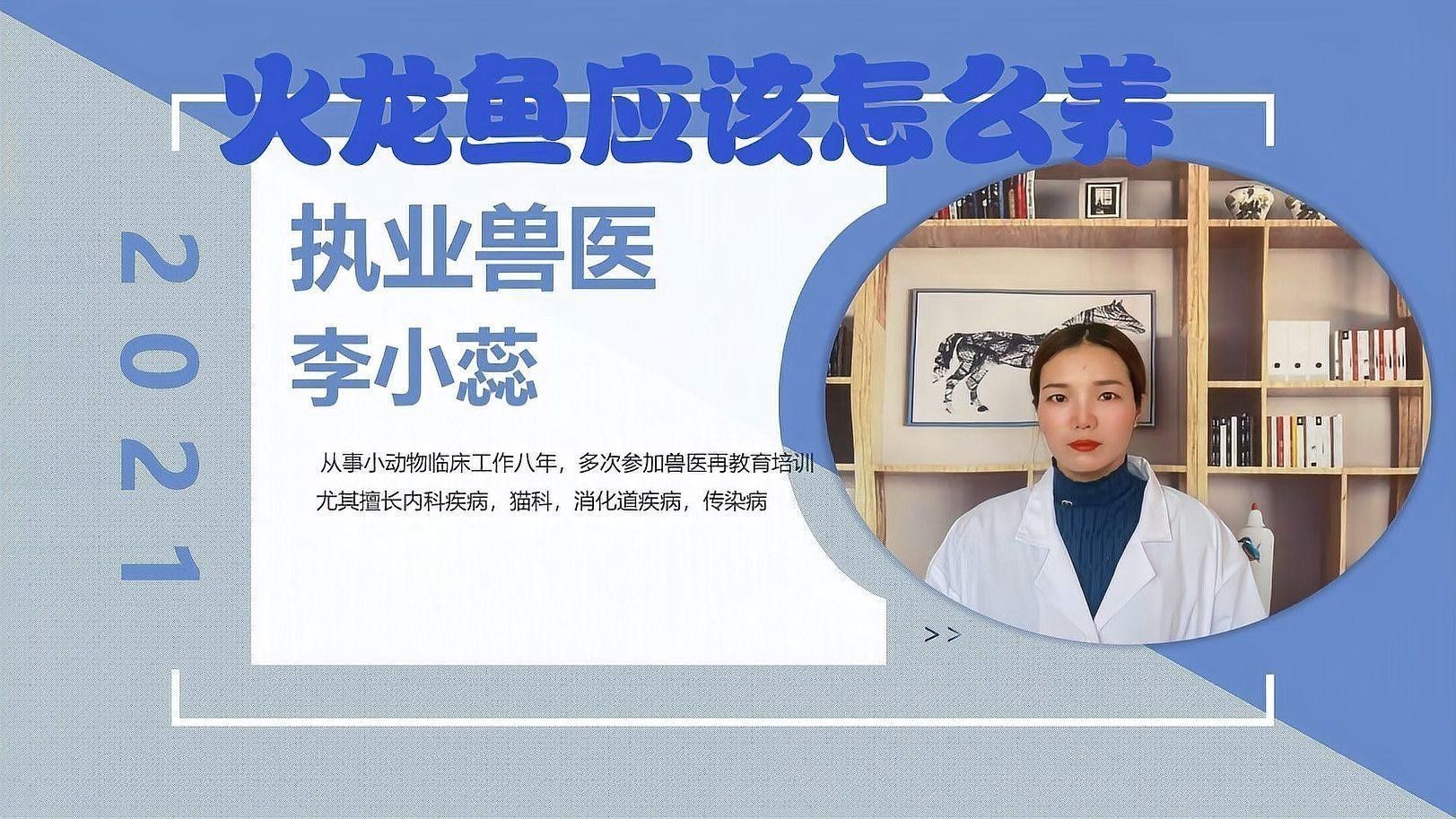 火龍魚怎么養能長多大一年能長多少