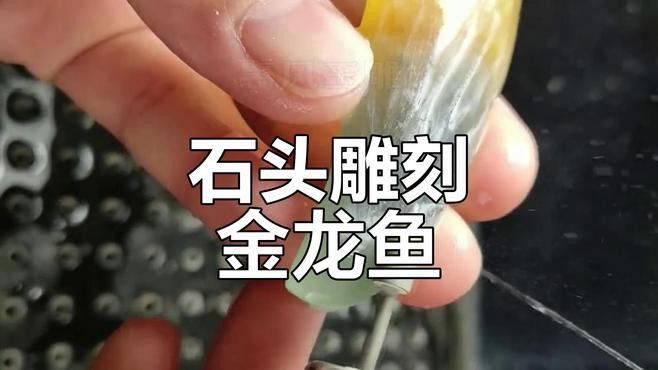 如何保養(yǎng)和清潔金龍魚雕刻？