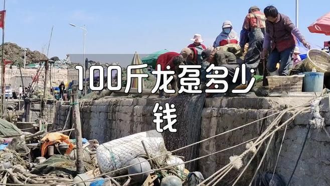 龍躉價格多少一斤